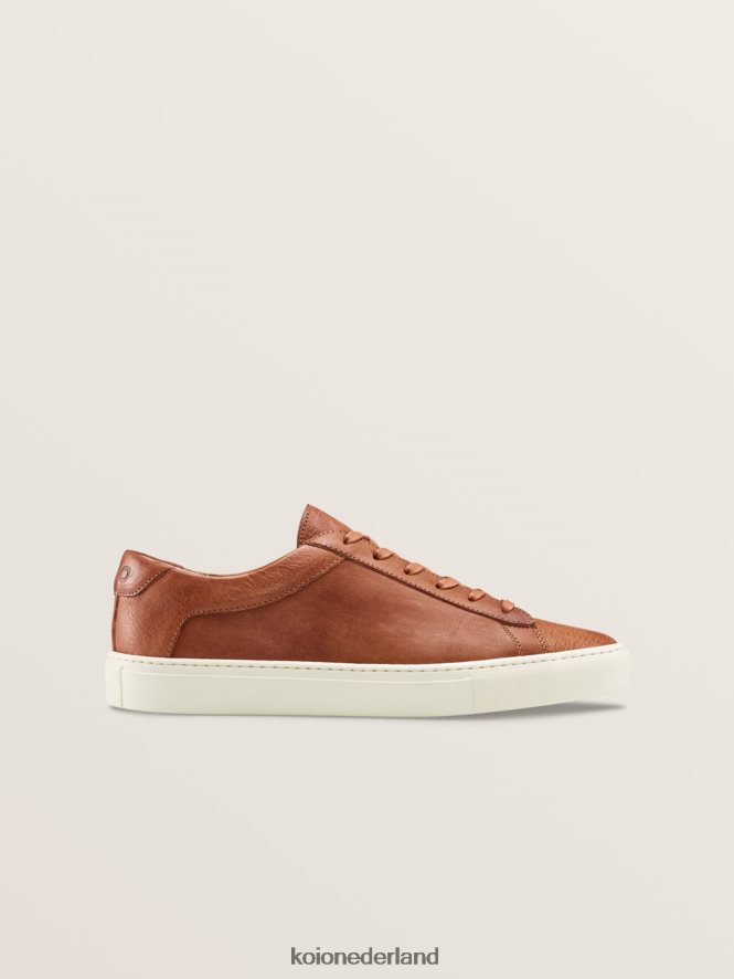 KOIO Heren capri regeneratief castagne schoenen 8NP24637