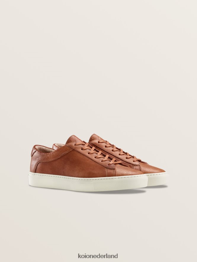 KOIO Heren capri regeneratief castagne schoenen 8NP24637