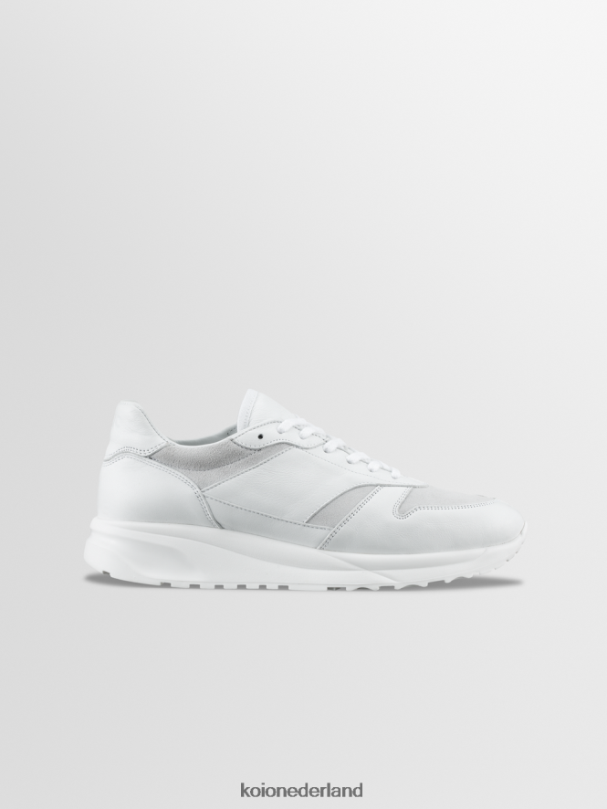 KOIO Heren volterra avorio schoenen 8NP24655