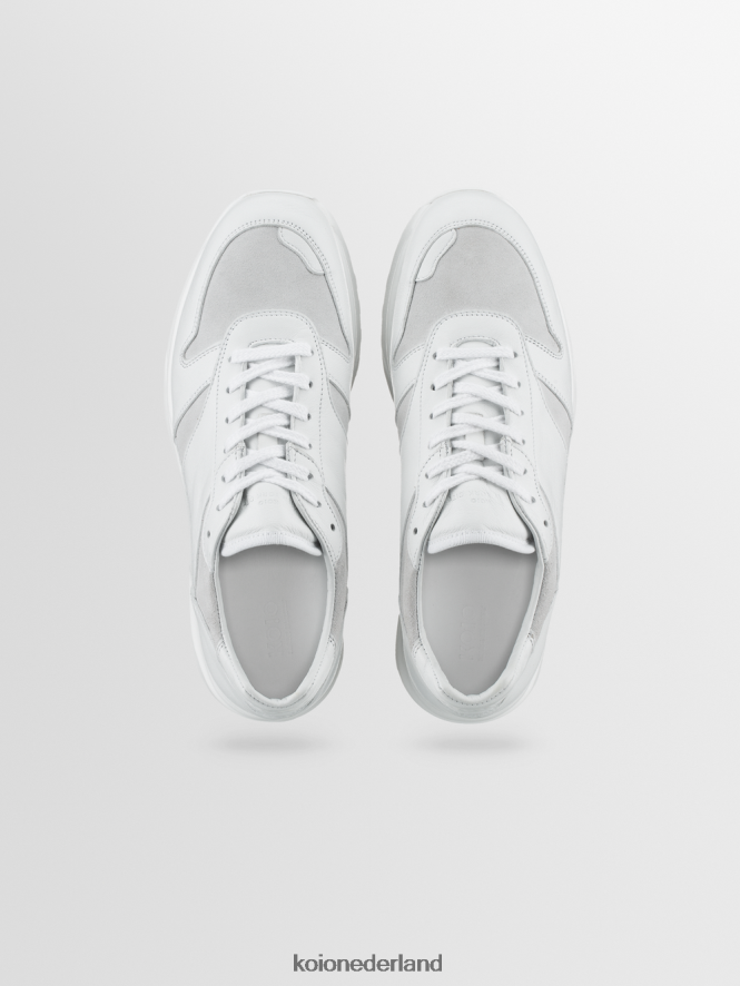 KOIO Heren volterra avorio schoenen 8NP24655