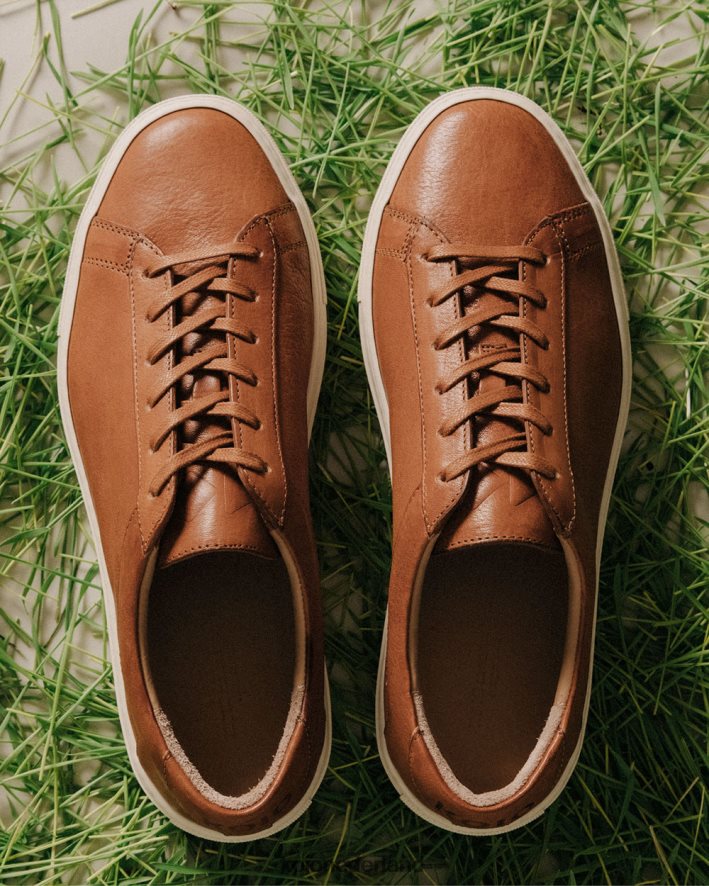 KOIO vrouwen capri regeneratief castagne schoenen 8NP246181